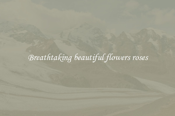 Breathtaking beautiful flowers roses