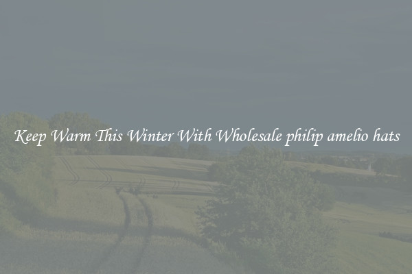 Keep Warm This Winter With Wholesale philip amelio hats