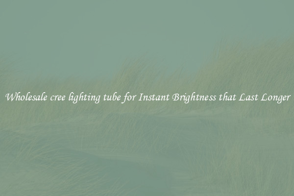 Wholesale cree lighting tube for Instant Brightness that Last Longer