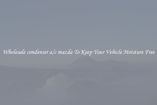 Wholesale condenser a/c mazda To Keep Your Vehicle Moisture Free