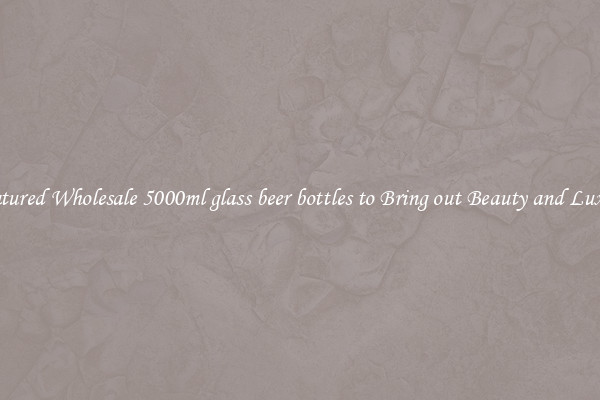 Featured Wholesale 5000ml glass beer bottles to Bring out Beauty and Luxury