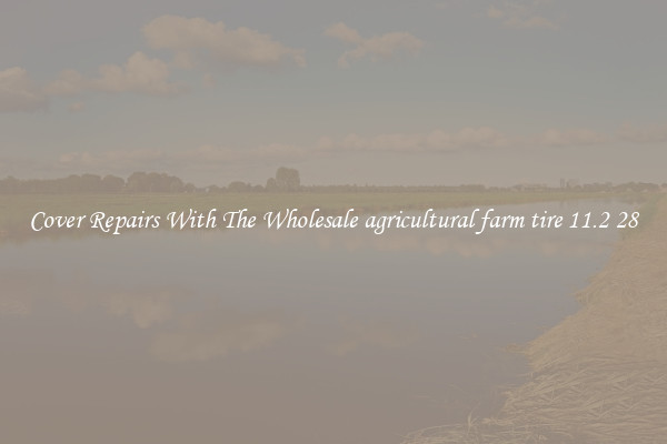  Cover Repairs With The Wholesale agricultural farm tire 11.2 28 