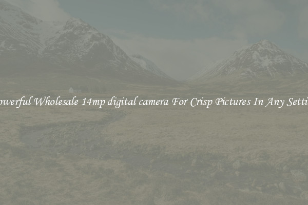 Powerful Wholesale 14mp digital camera For Crisp Pictures In Any Setting