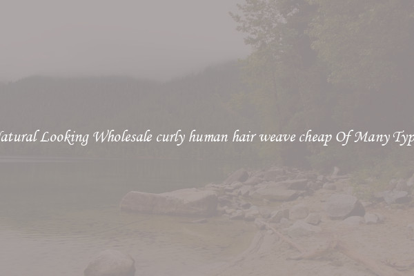 Natural Looking Wholesale curly human hair weave cheap Of Many Types