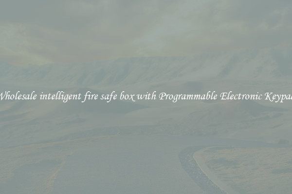 Wholesale intelligent fire safe box with Programmable Electronic Keypad 