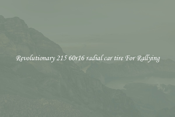 Revolutionary 215 60r16 radial car tire For Rallying