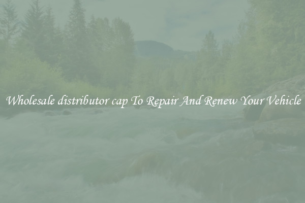 Wholesale distributor cap To Repair And Renew Your Vehicle