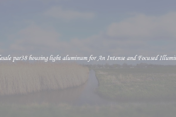 Wholesale par38 housing light aluminum for An Intense and Focused Illumination