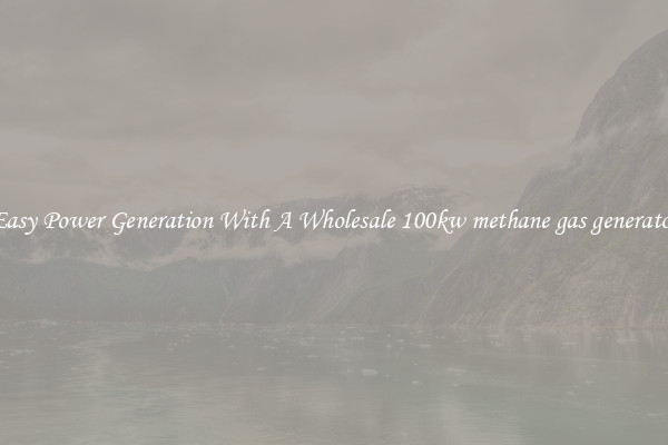 Easy Power Generation With A Wholesale 100kw methane gas generator