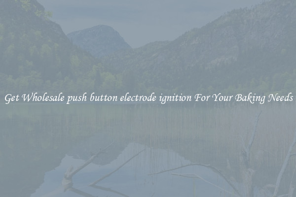 Get Wholesale push button electrode ignition For Your Baking Needs