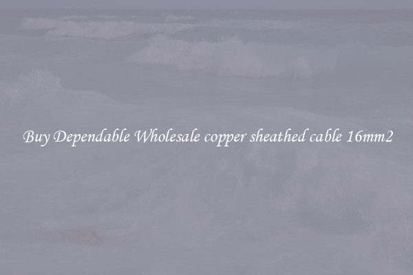Buy Dependable Wholesale copper sheathed cable 16mm2