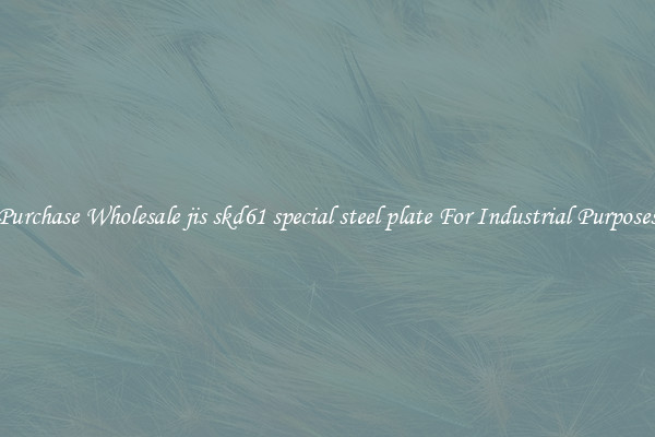 Purchase Wholesale jis skd61 special steel plate For Industrial Purposes