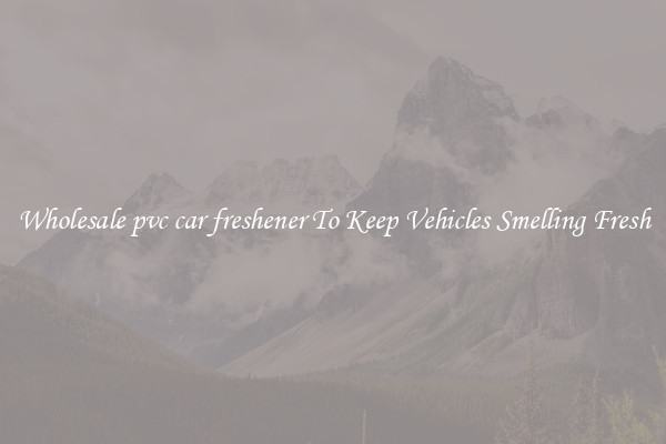 Wholesale pvc car freshener To Keep Vehicles Smelling Fresh