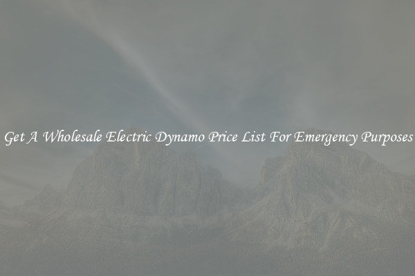 Get A Wholesale Electric Dynamo Price List For Emergency Purposes