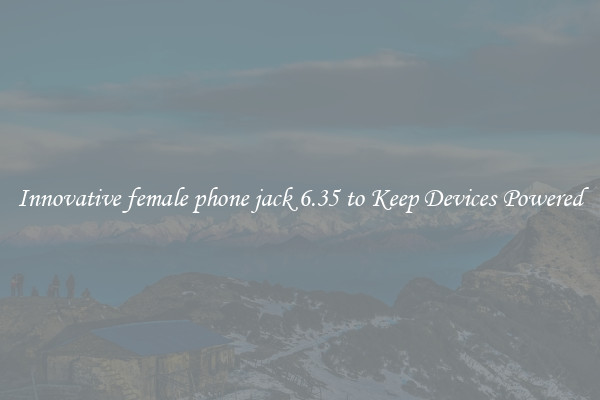 Innovative female phone jack 6.35 to Keep Devices Powered