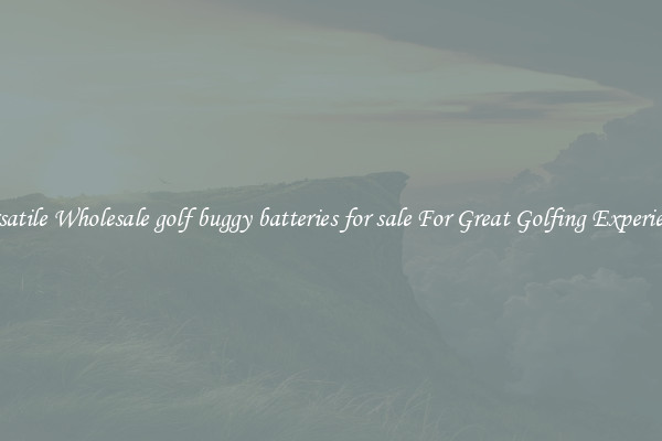 Versatile Wholesale golf buggy batteries for sale For Great Golfing Experience 
