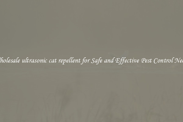 Wholesale ultrasonic cat repellent for Safe and Effective Pest Control Needs