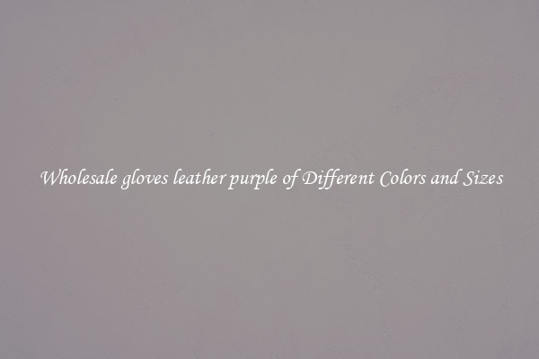 Wholesale gloves leather purple of Different Colors and Sizes