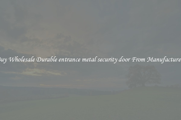 Buy Wholesale Durable entrance metal security door From Manufacturers