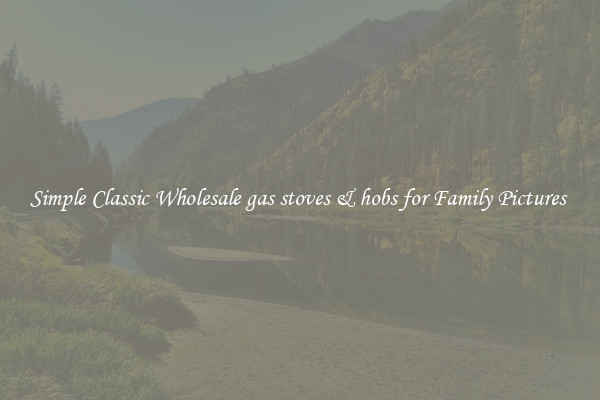 Simple Classic Wholesale gas stoves & hobs for Family Pictures 