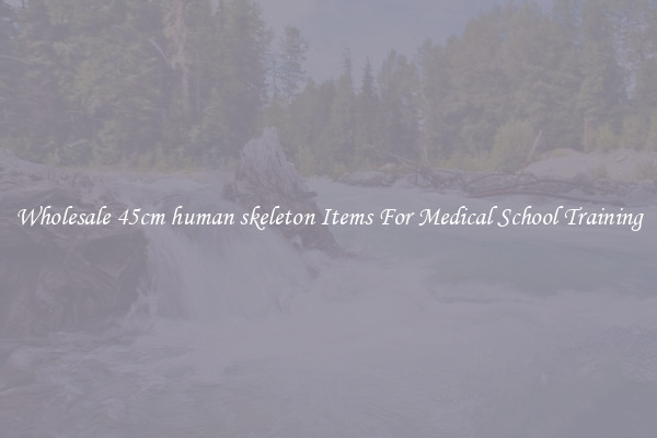 Wholesale 45cm human skeleton Items For Medical School Training
