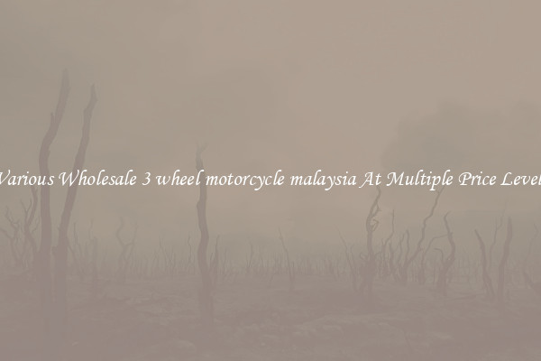 Various Wholesale 3 wheel motorcycle malaysia At Multiple Price Levels