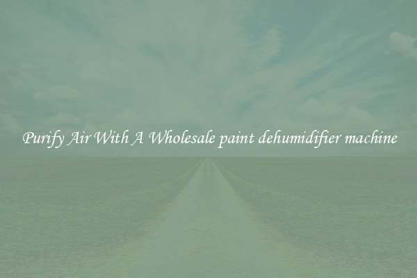 Purify Air With A Wholesale paint dehumidifier machine