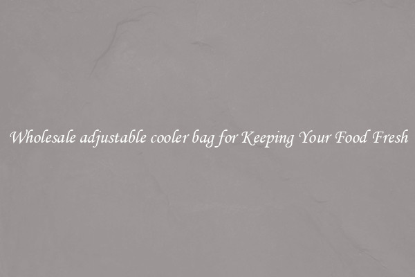 Wholesale adjustable cooler bag for Keeping Your Food Fresh